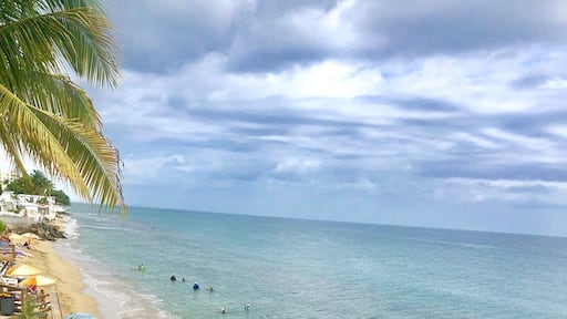 One picture! Thousands words! #Puertorico #Isladelencanto #Rincon