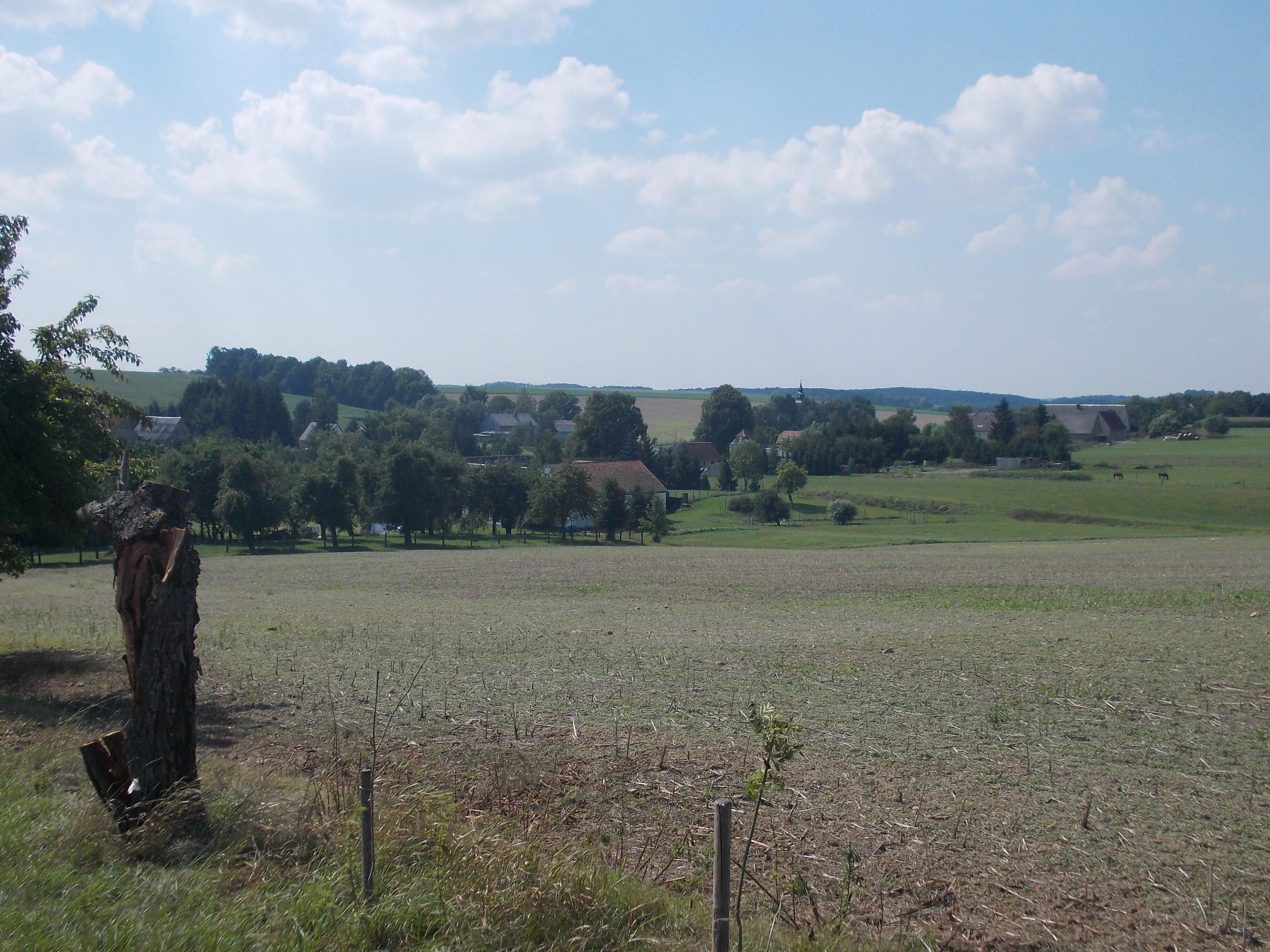 Knobelsdorf (Waldheim, Mittelsachsen district, Saxony) from the north-east