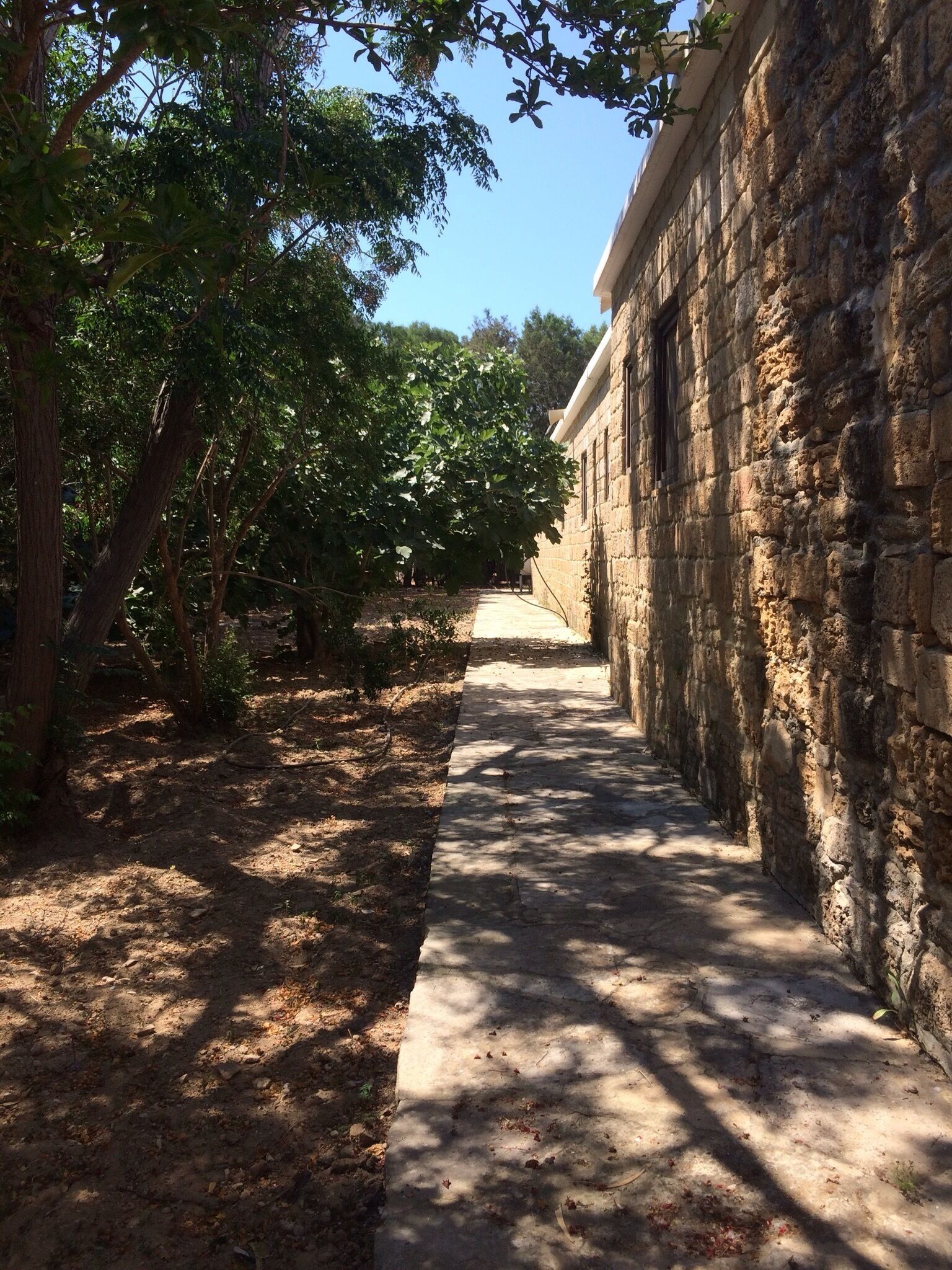 Tranquility at its finest. Must be a cat lover to visit.