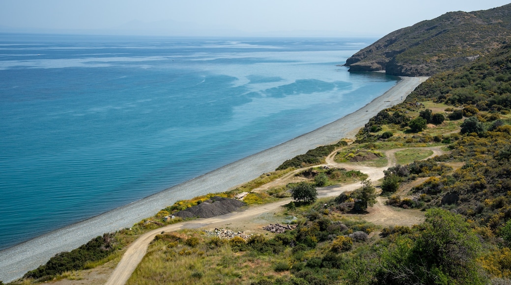 Long beach meeting blue sea under blue sky on sunny day