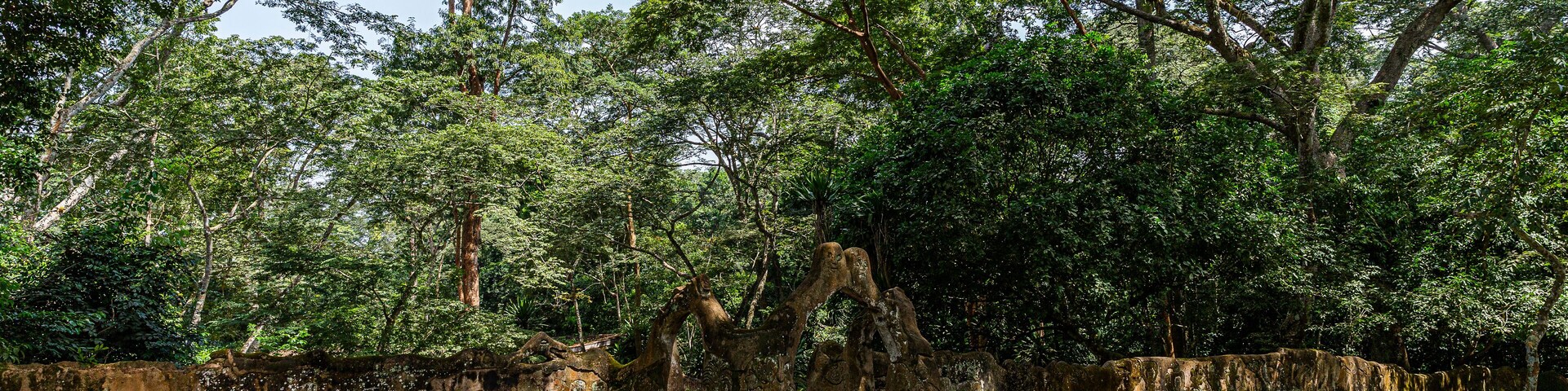 Osun-Osogbo Sacred Grove in Nigeria. A sacred forest along the banks of the Osun river just outside the city of Osogbo in Osun State. Cultural landscape of undisturbed forest