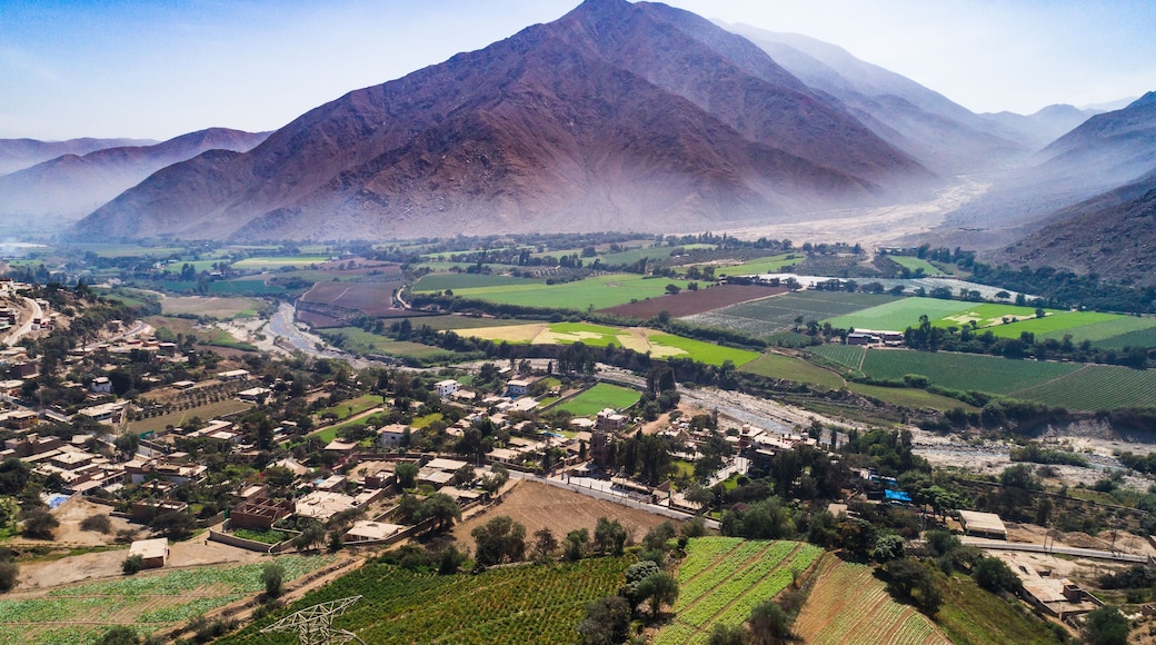 Aerial drone view of crop fields at Chillon valley near Lima, Peru.