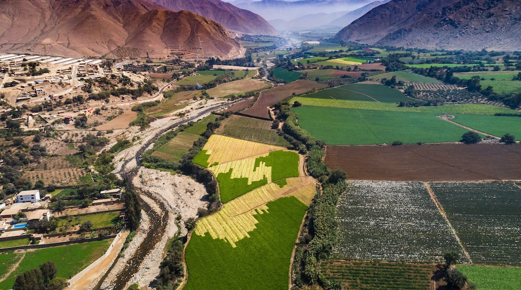 Aerial drone view of crop fields at Chillon valley near Lima, Peru.