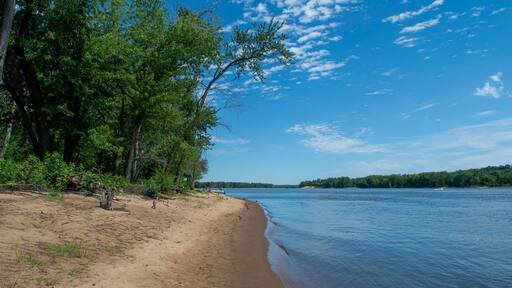 South view of a Mississippi River sandbar on the Wisconsin shoreline during the summer