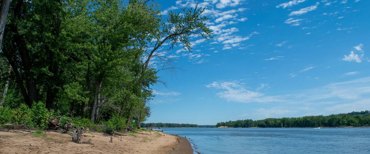 A sandy beach with trees and a calm river.