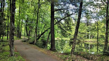 On a late Spring day at Brunet Island State Park, a hiking trail winds its way through lush green forestland alongside a reflecting Chippewa River near Cornell, WI.