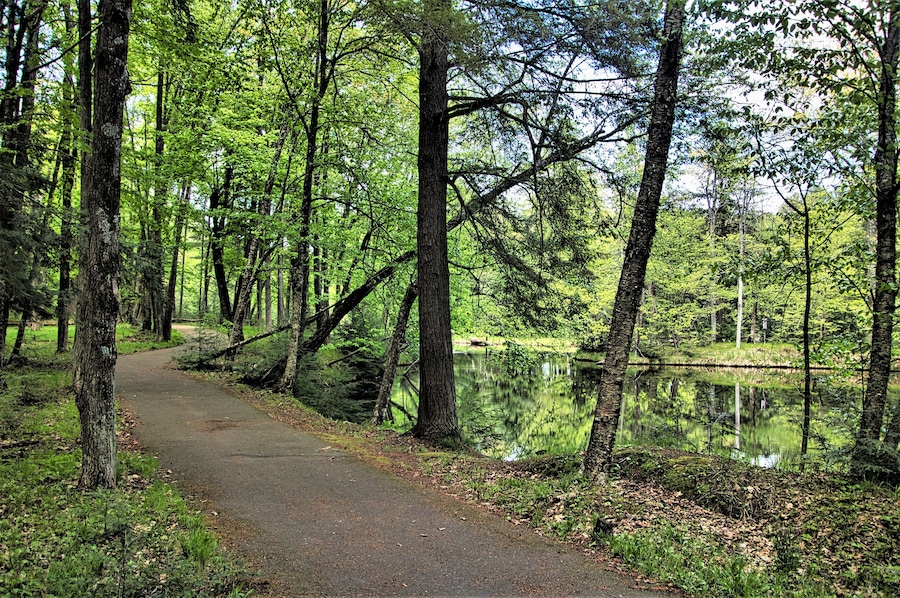 On a late Spring day at Brunet Island State Park, a hiking trail winds its way through lush green forestland alongside a reflecting Chippewa River near Cornell, WI.