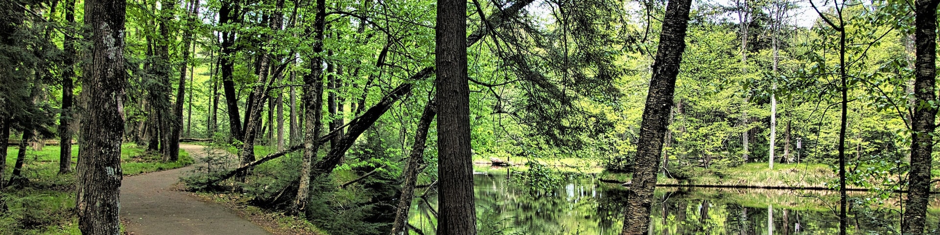 On a late Spring day at Brunet Island State Park, a hiking trail winds its way through lush green forestland alongside a reflecting Chippewa River near Cornell, WI.