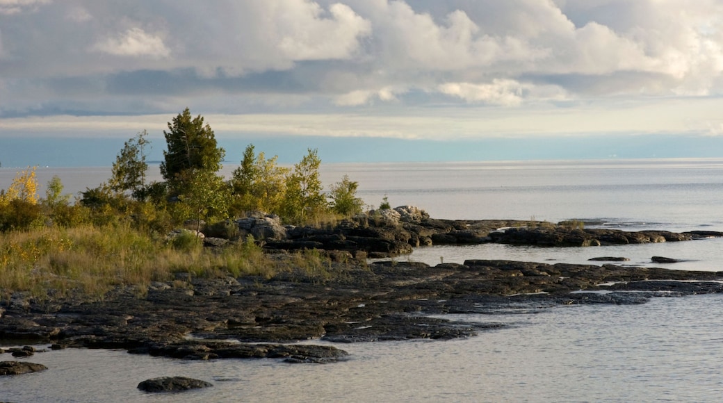 جزيرة واشنطن أيلاند