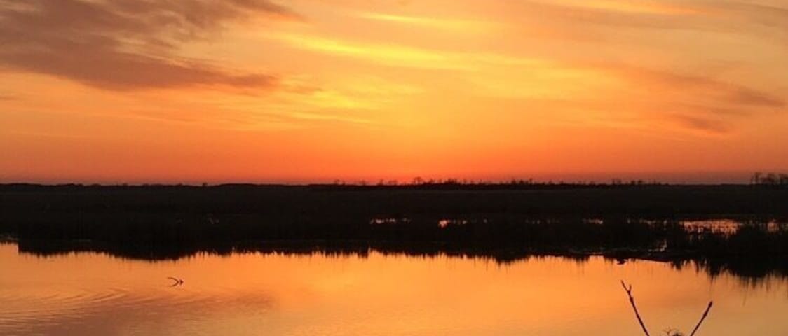 Sunset in a marsh full of flutter and critters