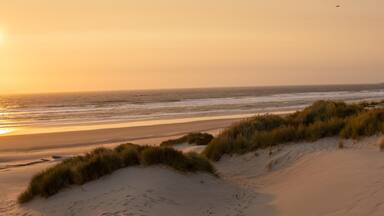 A beach with sand dunes and grass, ocean waves, and a mountain in the background.