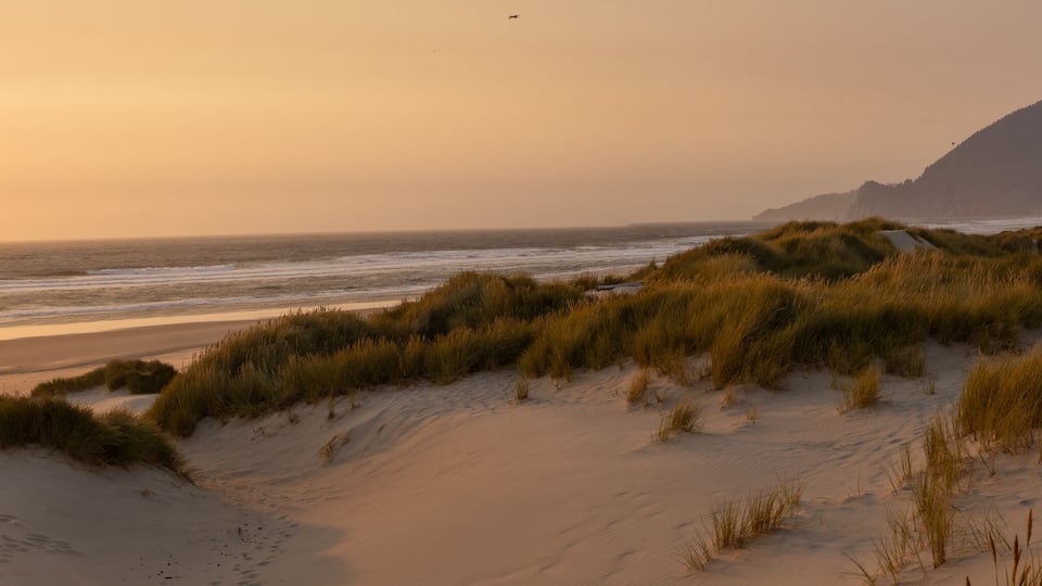 A beach with sand dunes and grass, ocean waves, and a mountain in the background.
