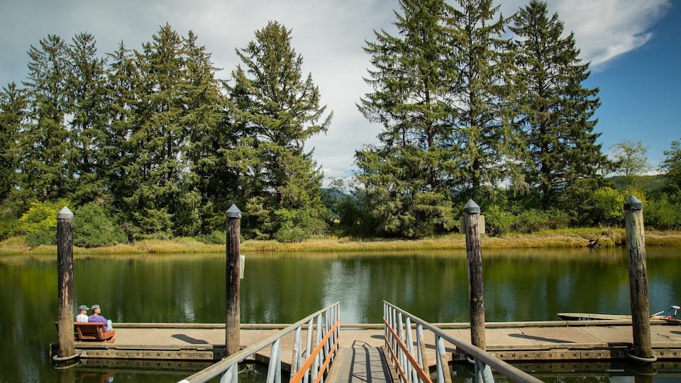 A wooden dock extending into a calm lake, surrounded by dense evergreen trees.