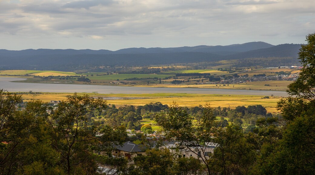 Trevallyn showing tranquil scenes and landscape views