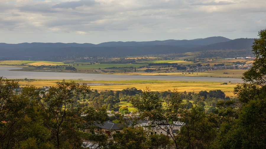 Trevallyn showing tranquil scenes and landscape views