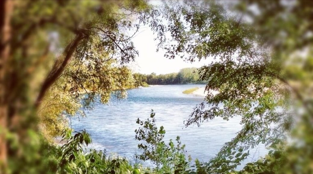 Road bike close to Naviglio Grande