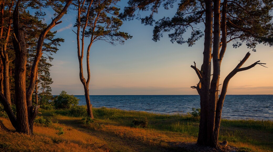 موربيلانغا