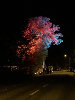 This light up tree is to be seen during a festival called skördefest at Ăland in September.