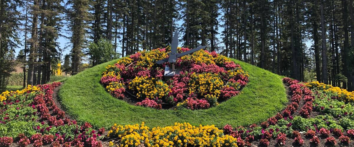 A landscaped garden with a central sculpture surrounded by vibrant flower beds and tall pine trees in the background.
