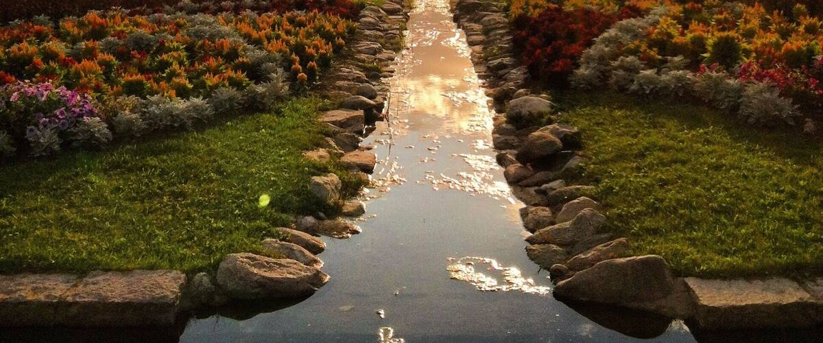 A super secret spot hidden at the US- Canadian border. Wait until all the flowers are in bloom to see it.