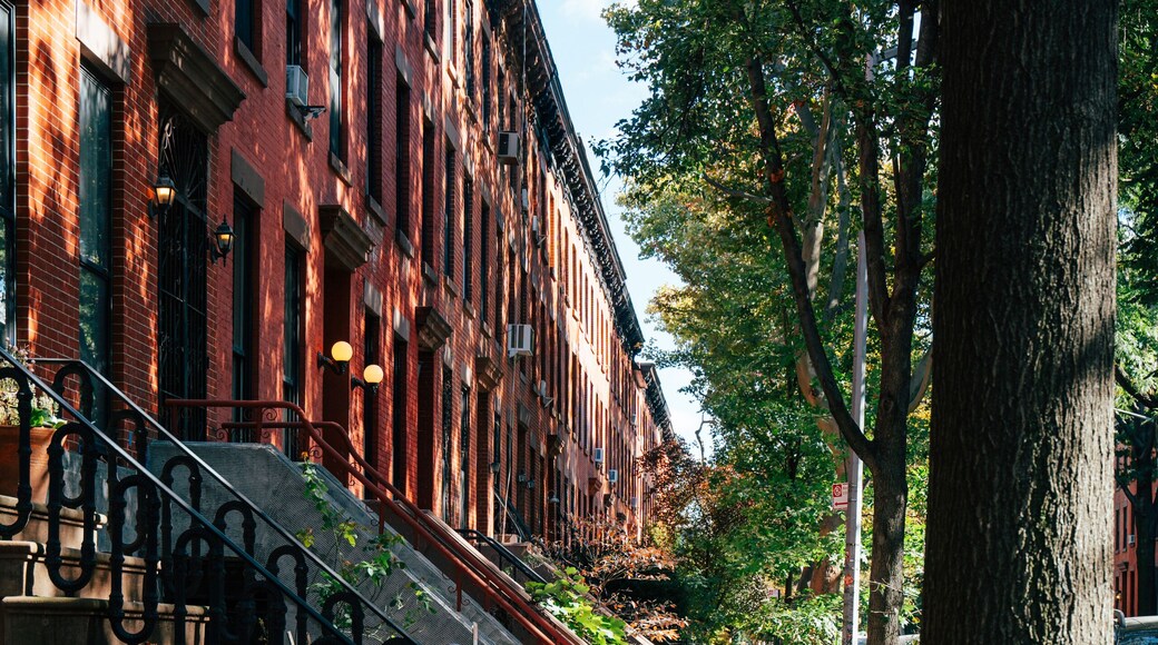 Charming tree-lined street in Boerum Hill featuring classic brow