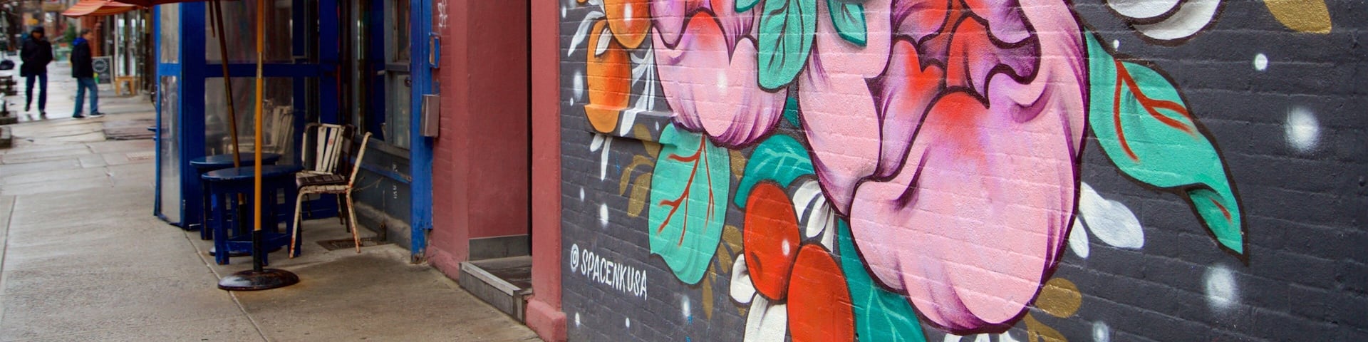 Nolita mettant en vedette art en plein air