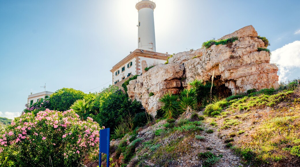 Marina/club náutico Botafoch