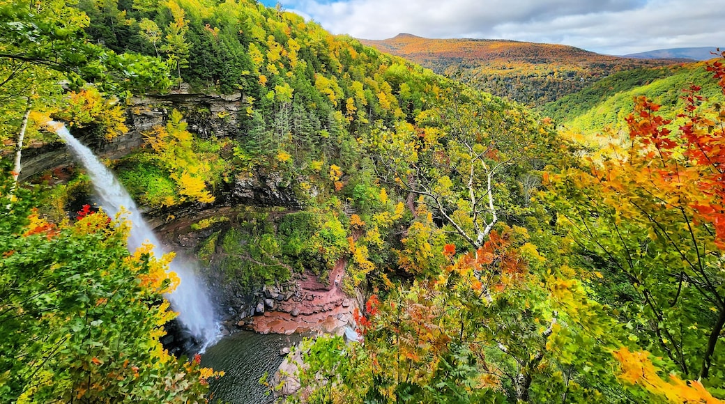Montañas de Catskill
