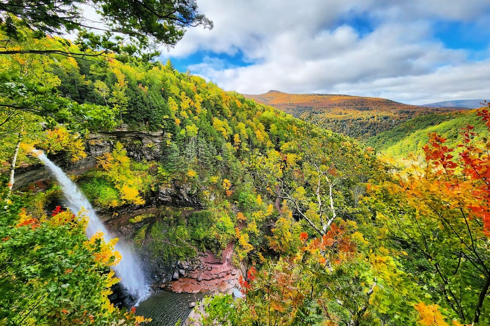 A waterfall cascading down a rocky cliff surrounded by autumn foliage.