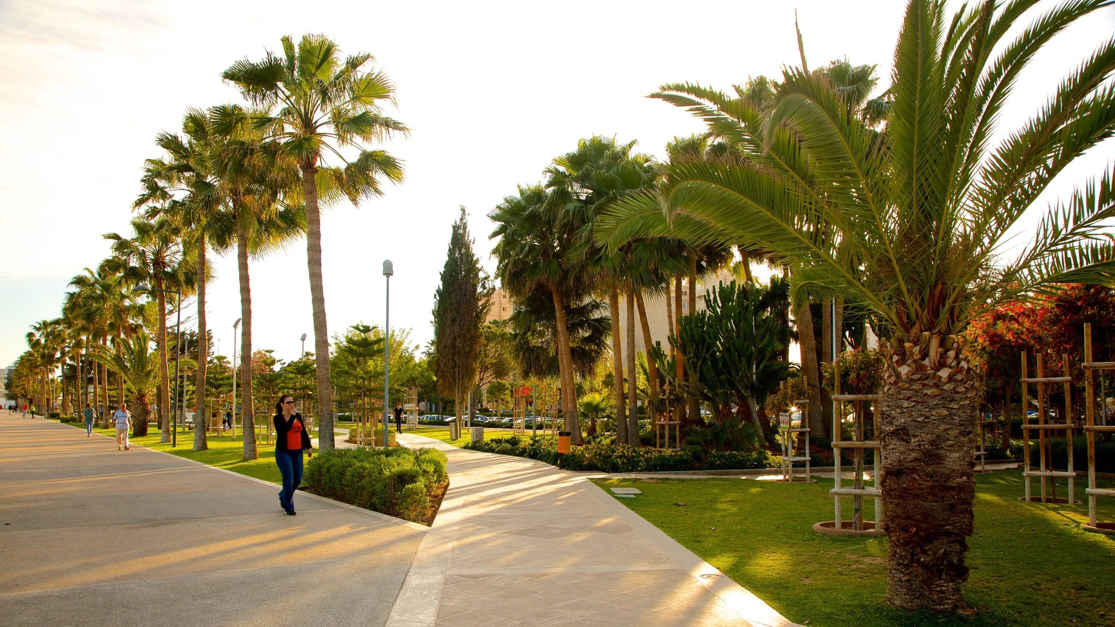 Limassol mostrando un jardín