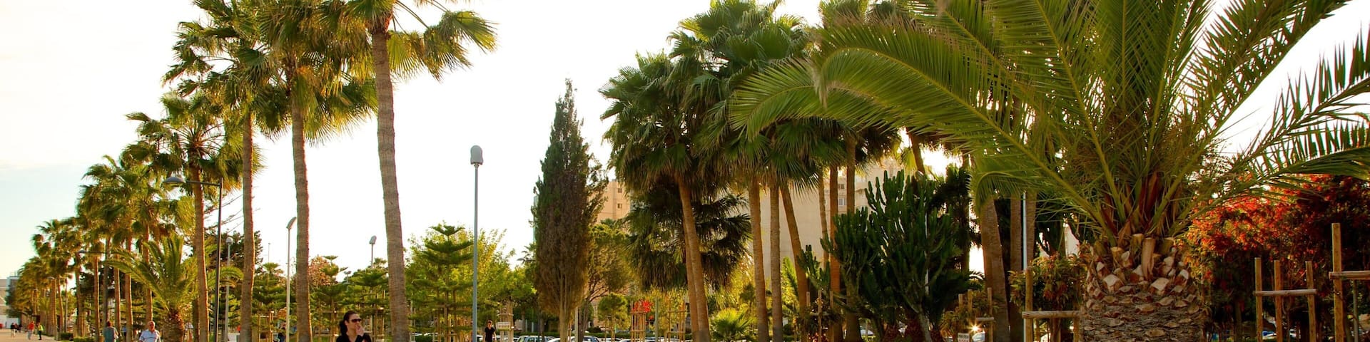 Limassol which includes a garden