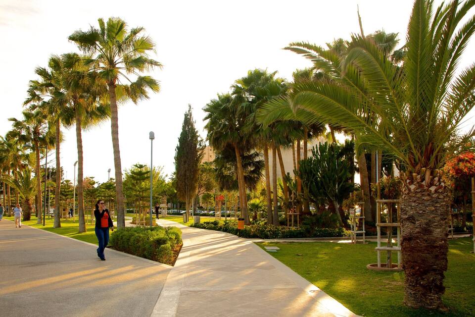A pedestrian pathway lined with palm trees and a grassy area.