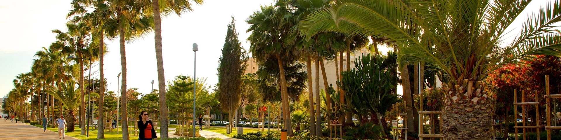 Limassol ofreciendo un parque