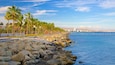 A rocky shoreline with palm trees and a clear blue sky.