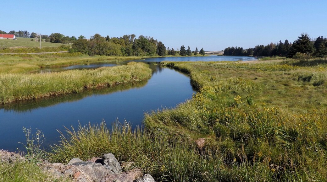 Stunning views everywhere you look in Prince Edward Island, Canada.
#River