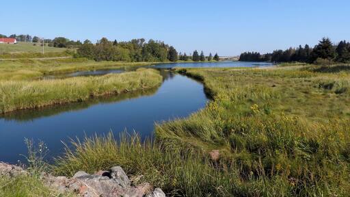 Stunning views everywhere you look in Prince Edward Island, Canada.
#River