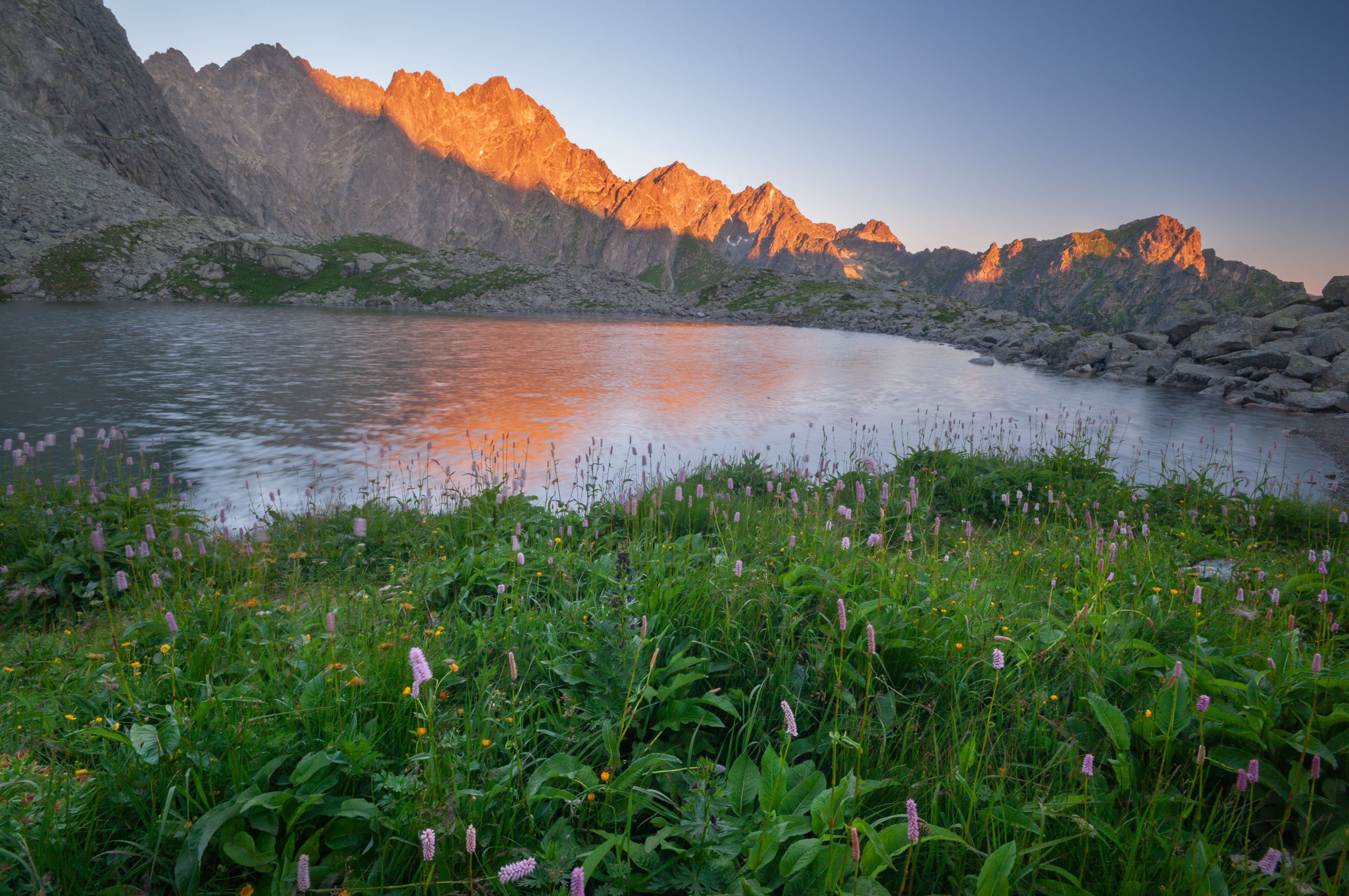 View of jagged peaks ablaze with golden sunlight reflecting on the calm lake, framed by vibrant green foliage in Litvorove pleso tarn, Tatranska Javorina, Presovsky kraj, Slovakia.