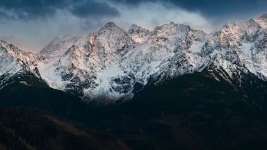 Schneebedeckte Berggipfel mit einem bewaldeten Tal.