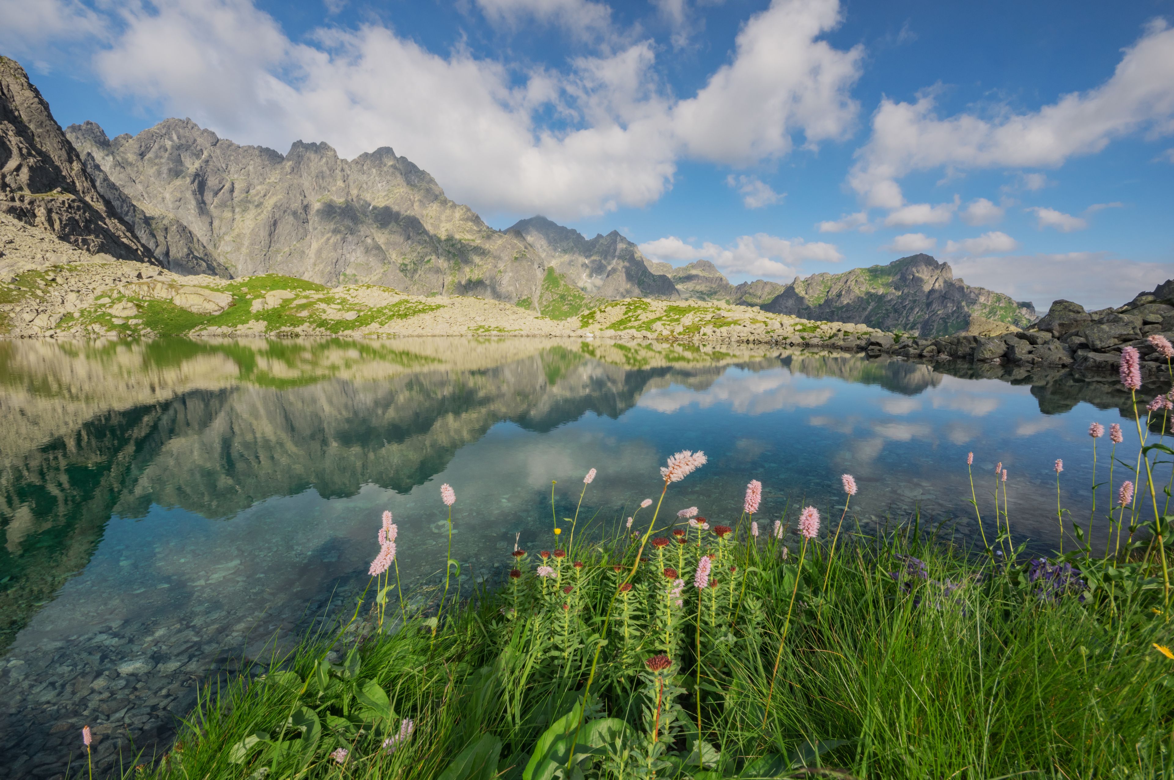 View of Litvorove pleso, a glacial lake in the High Tatras, with clear water reflecting rocky peaks, green banks, and wildflowers in Tatranska Javorina, Presovsky kraj, Slovakia.