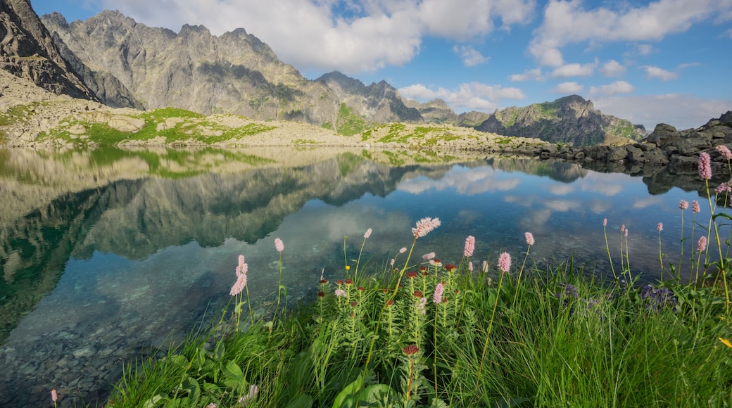 View of Litvorove pleso, a glacial lake in the High Tatras, with clear water reflecting rocky peaks, green banks, and wildflowers in Tatranska Javorina, Presovsky kraj, Slovakia.