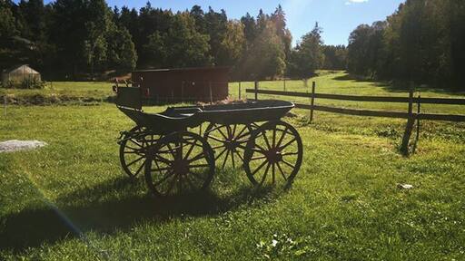 Helping out on the Stockholm archipelago during the Expedia Day of Caring 2016 #lifeatexpedia
