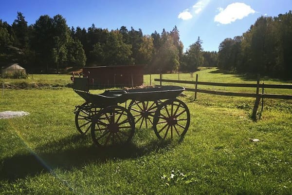 Helping out on the Stockholm archipelago during the Expedia Day of Caring 2016 #lifeatexpedia