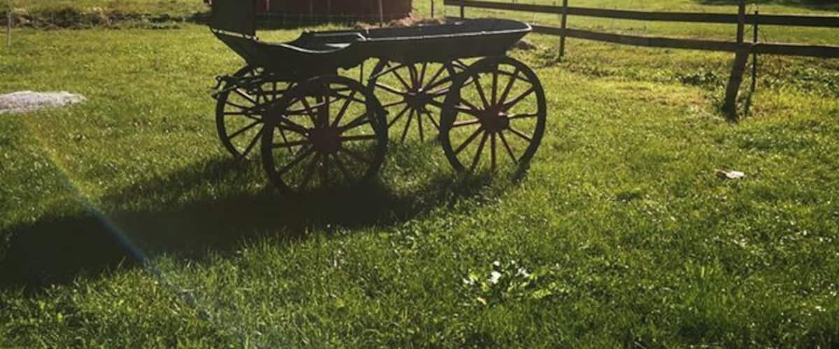 A wooden cart in a grassy field with a wooden fence and a red barn in the background.