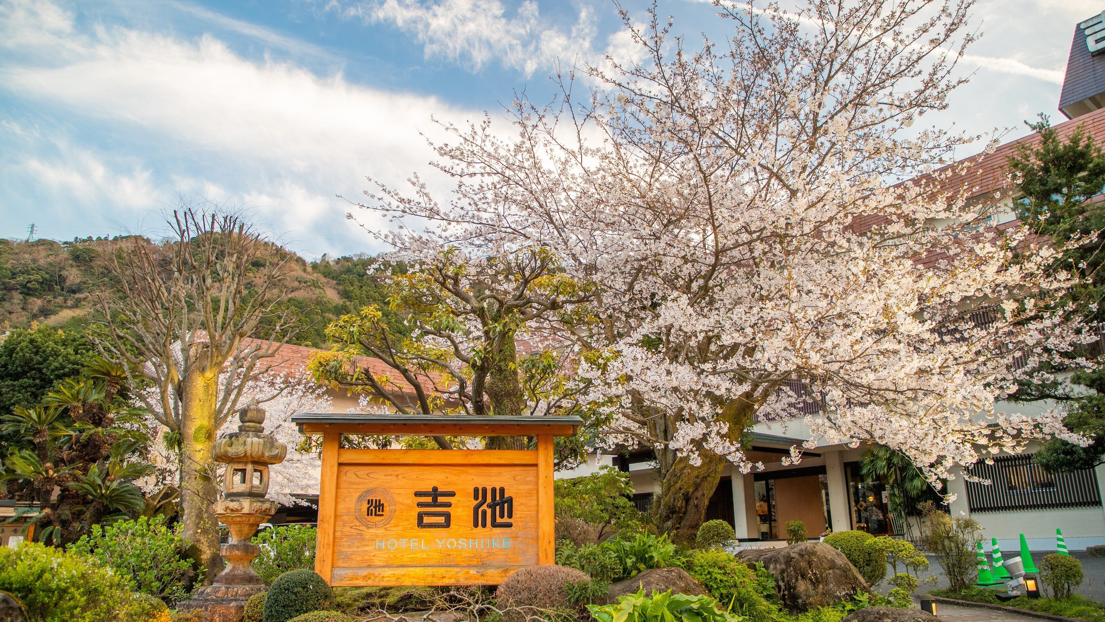 Hakone Hot Springs which includes wildflowers and signage