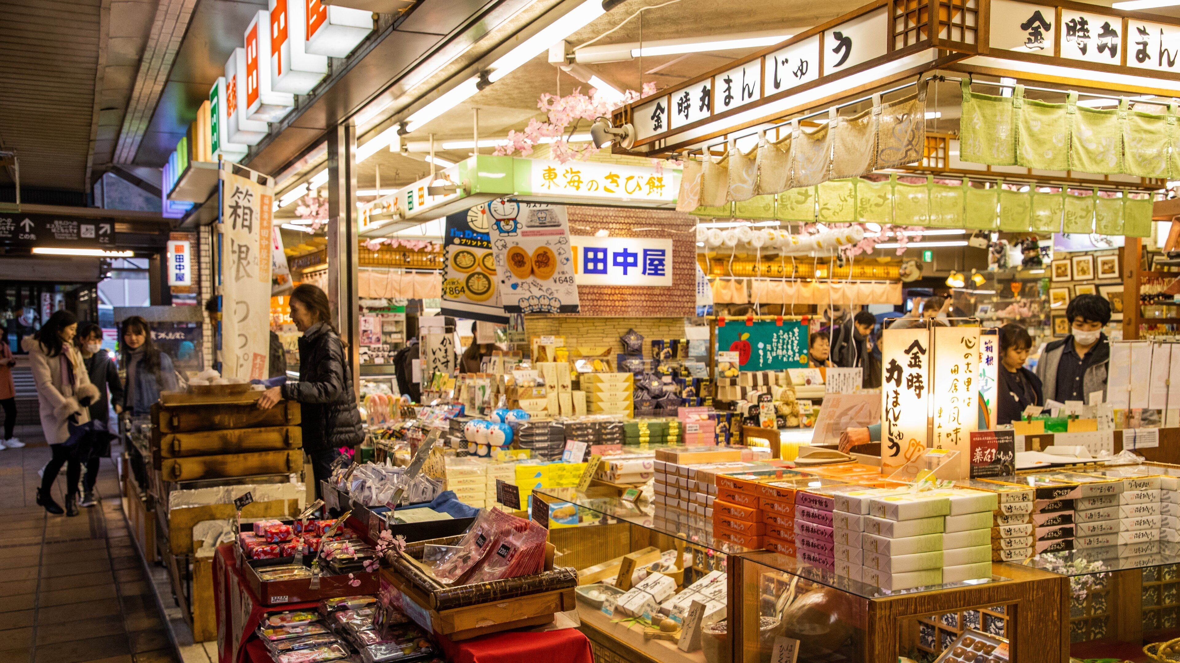 Hakone Hot Springs featuring markets as well as an individual femail
