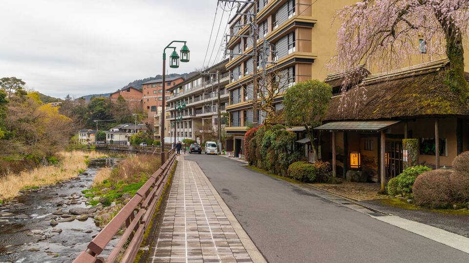 Un paseo ribereño con baldosas de piedra, cerca de madera y flores de cerezo.
