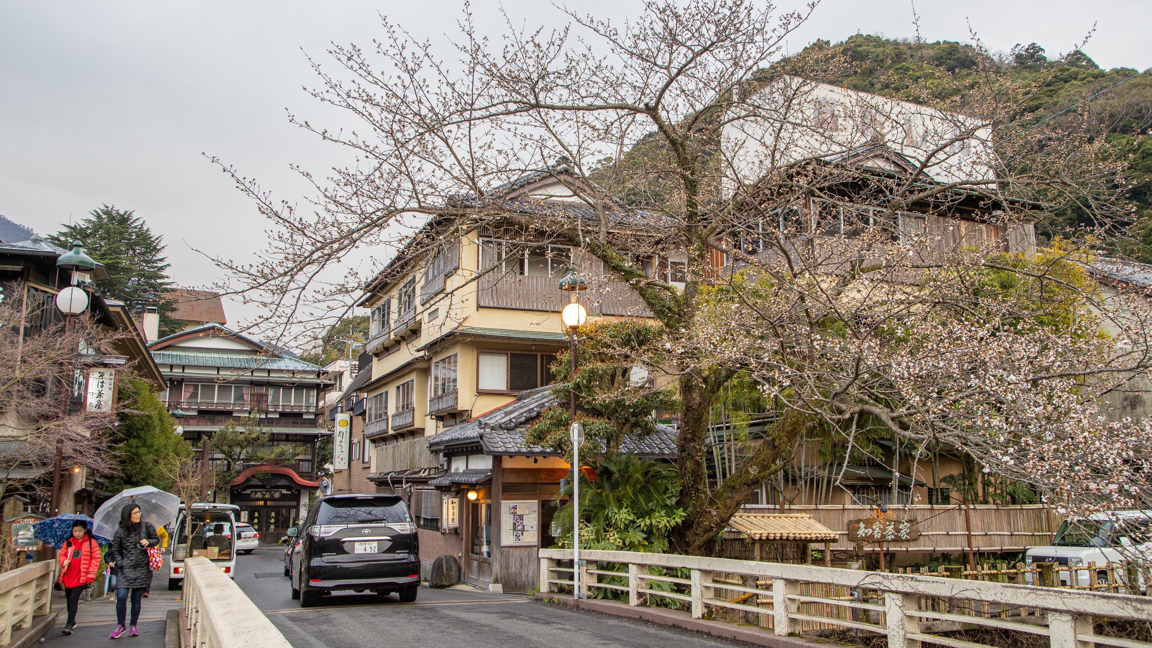 A traditional Japanese street with cherry blossoms, a black car, and pedestrians with umbrellas.