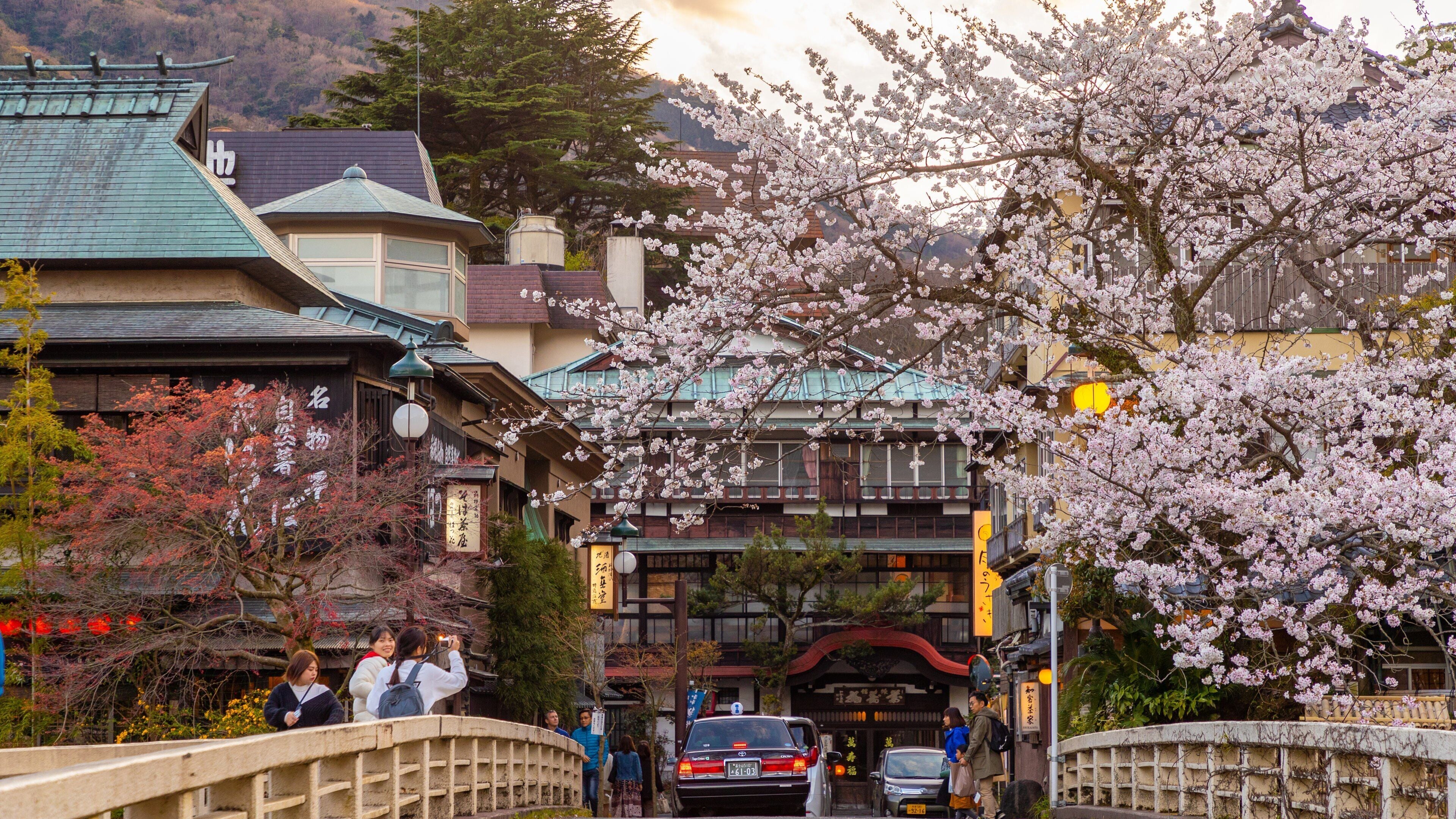 Hakone Hot Springs featuring street scenes and wildflowers