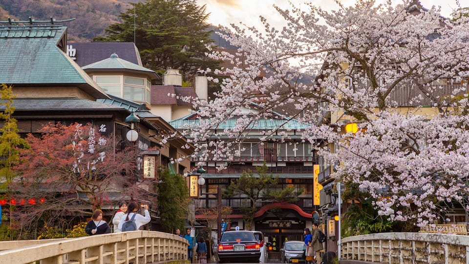 Hakone Hot Springs featuring street scenes and wildflowers