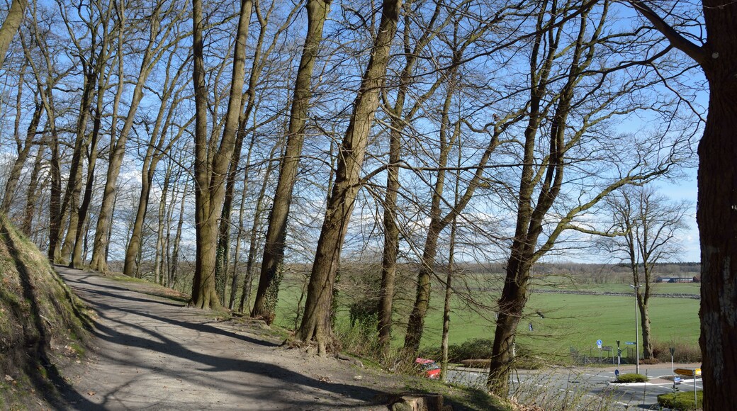 This image was uploaded as part of Wiki Loves Earth 2015.